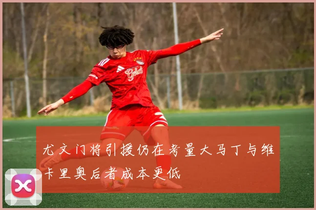 尤文门将引援仍在考量大马丁与维卡里奥后者成本更低